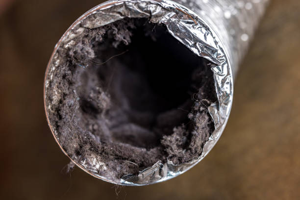 Air Duct Mold Removal in MI